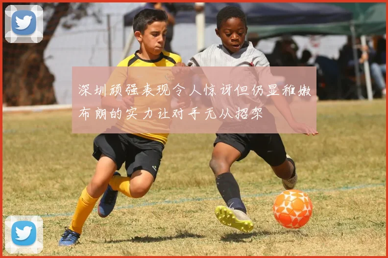 深圳顽强表现令人惊讶但仍显稚嫩布朗的实力让对手无从招架