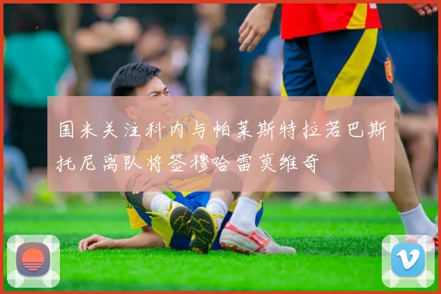 国米关注科内与帕莱斯特拉若巴斯托尼离队将签穆哈雷莫维奇